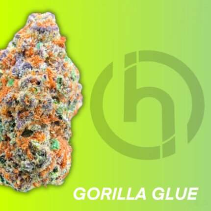 Gorilla glue strain